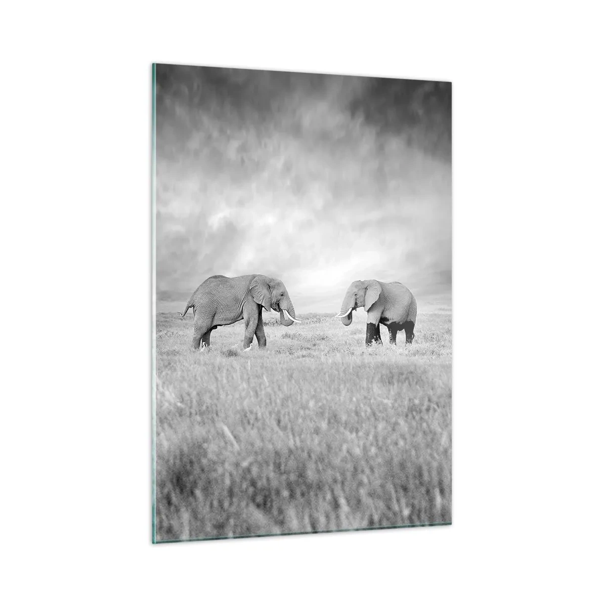 Impression sur verre - Image sur verre - Deux éléphants dans la savane dans des tons de noir et blanc - 50x70cm - Le gris est beau - Décoration murale moderne pour le salon et la chambre ARTTOR
