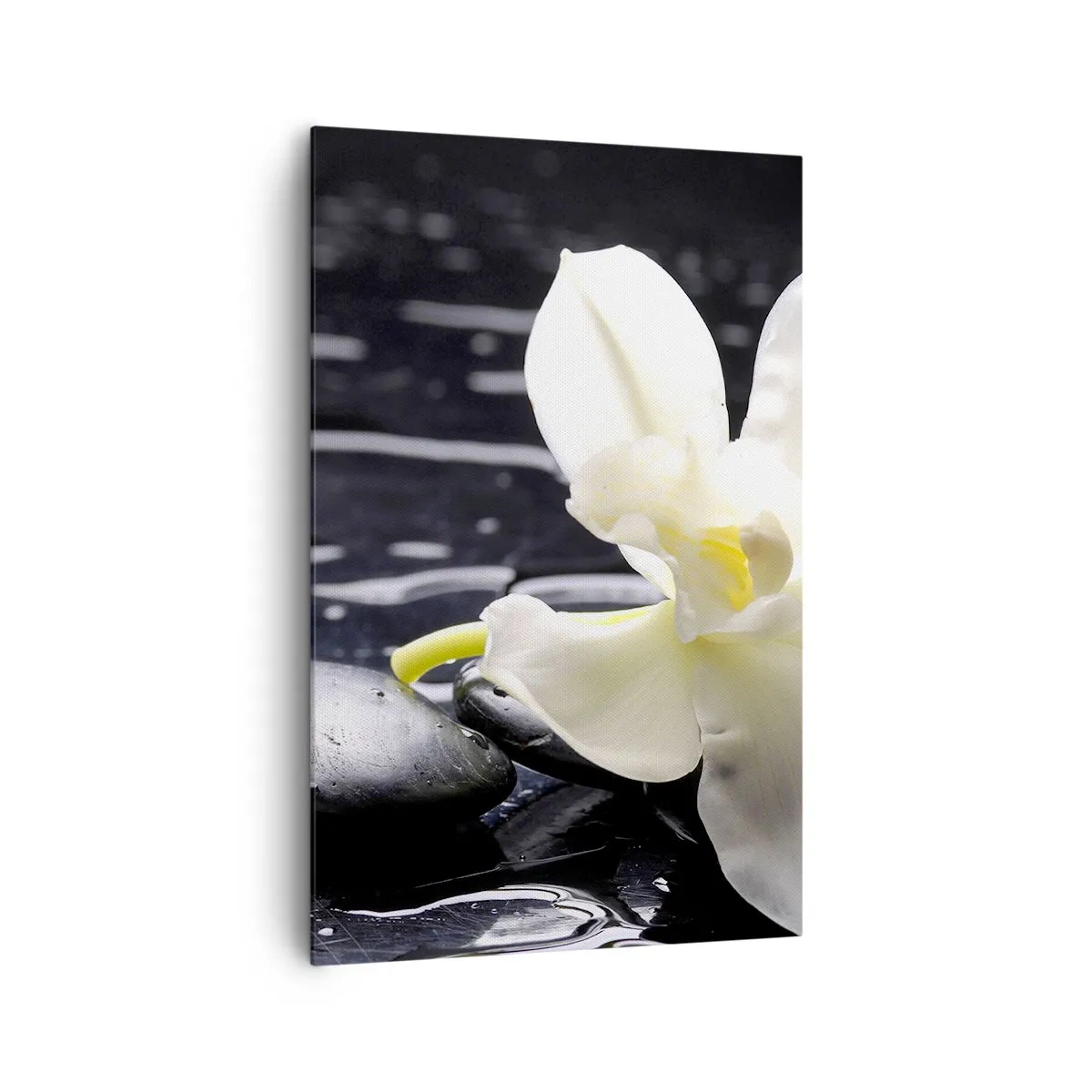 Impression sur toile - Image sur toile - Une orchidée blanche sur un fond de pierres noires et d'eau. - 80x120cm - Étude en noir et blanc - Décoration murale moderne pour le salon et la chambre ARTTOR