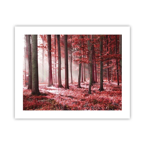 Affiche - Poster - Le rouge est tout aussi beau - 50x40 cm