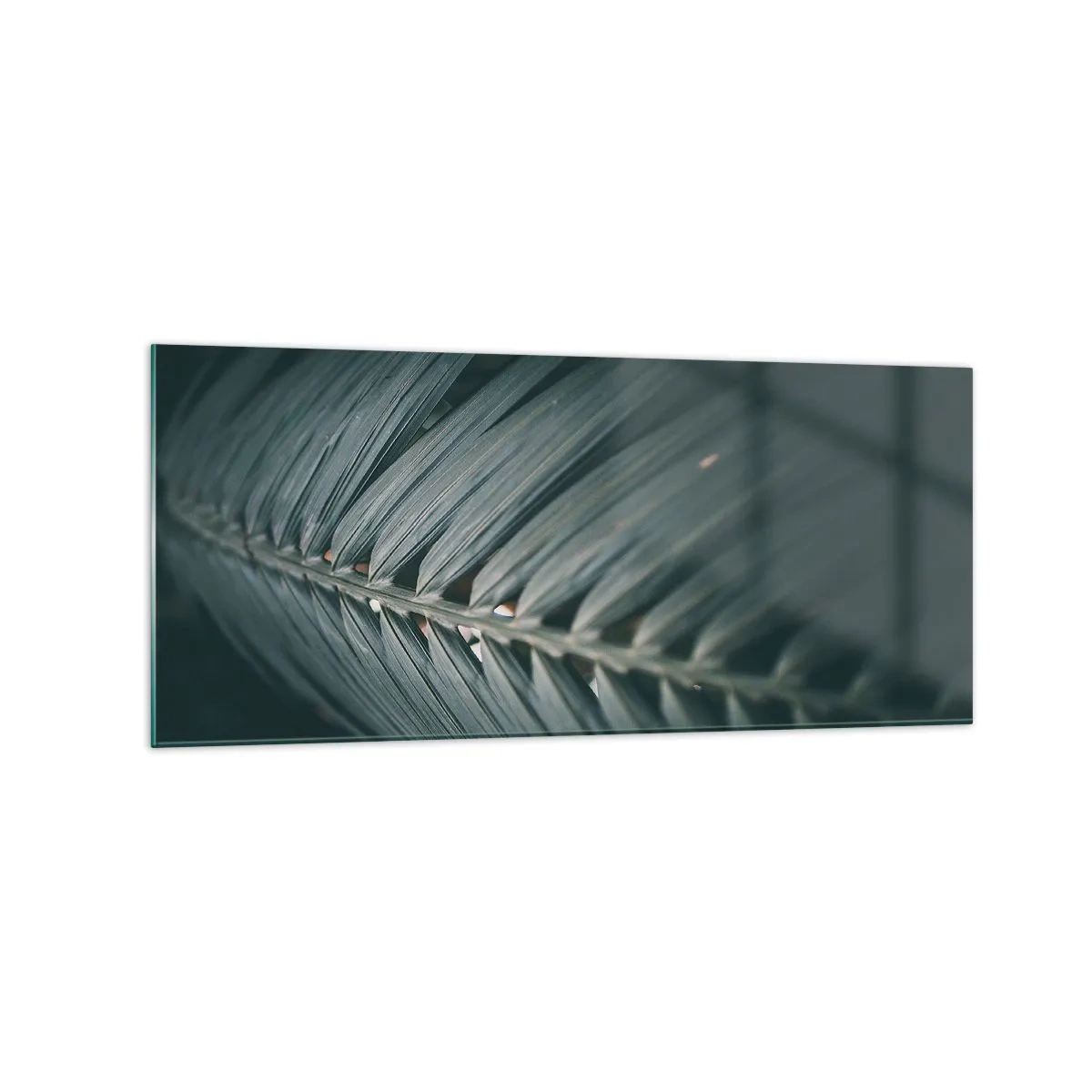 Impression sur verre - Image sur verre - Gros plan d'un détail de feuille de palmier aux tons sombres - 120x50cm - Précision de la nature - Décoration murale moderne pour le salon et la chambre ARTTOR