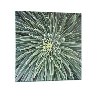 Impression sur verre - Image sur verre - Naissance d'une étoile - 60x60 cm