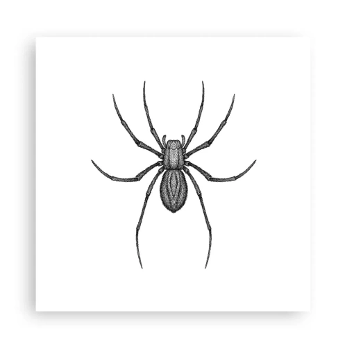 Affiche - Poster - Une précision troublante - 30x30 cm