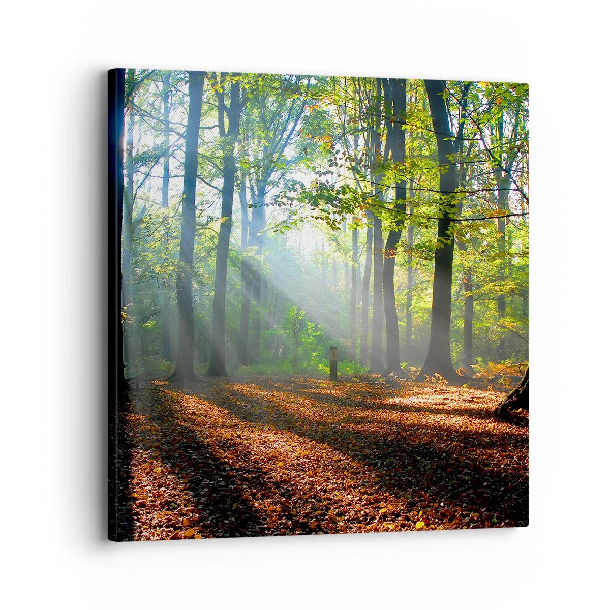 Impression sur toile - Image sur toile - Ombres et lumières - 30x30 cm