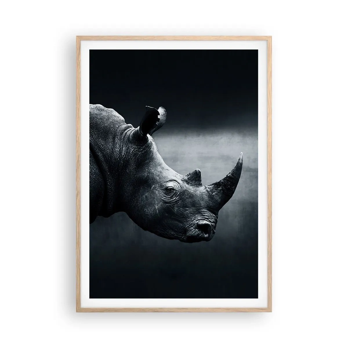 Affiche dans un chêne clair - Poster - Le profil droit - 70x100 cm