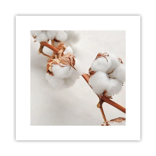 Affiche - Poster - Seulement caliner - 30x30 cm