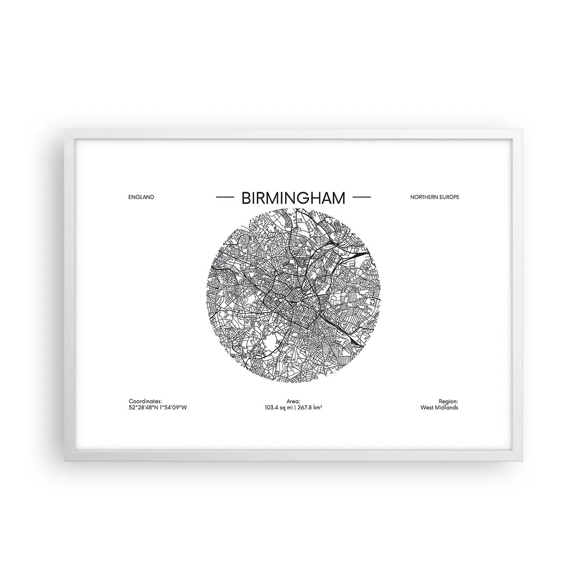 Affiche dans un cadre blanc - Poster - Anatomie de Birmingham - 70x50 cm