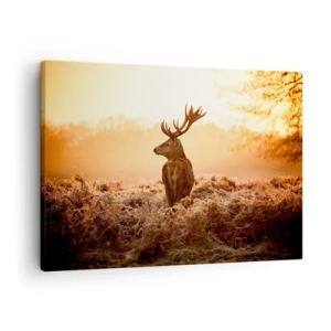 Impression sur toile - Image sur toile - Cerf dans les rayons du soleil levant - 70x50cm - Seigneur du domaine - Décoration murale moderne pour le salon et la chambre ARTTOR