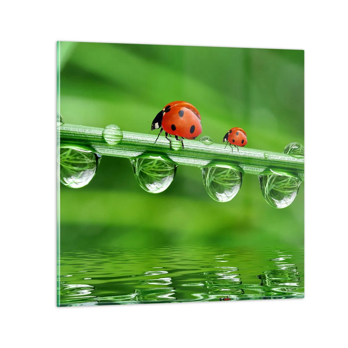 Impression sur verre - Image sur verre - Sur la route tout l'été - 60x60 cm