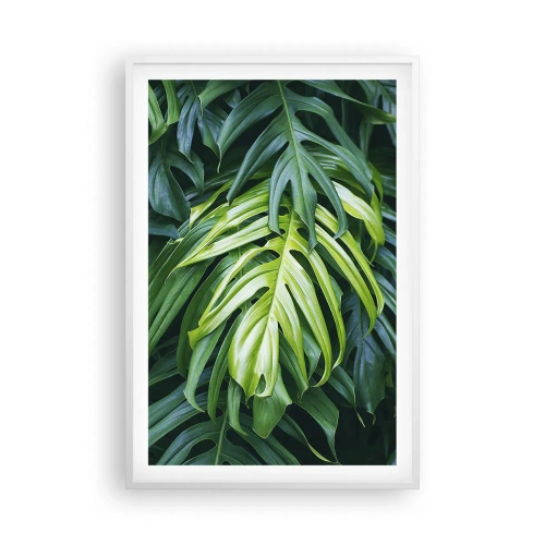 Affiche dans un cadre blanc - Poster - Immergez-vous dans la fraîcheur - 61x91 cm
