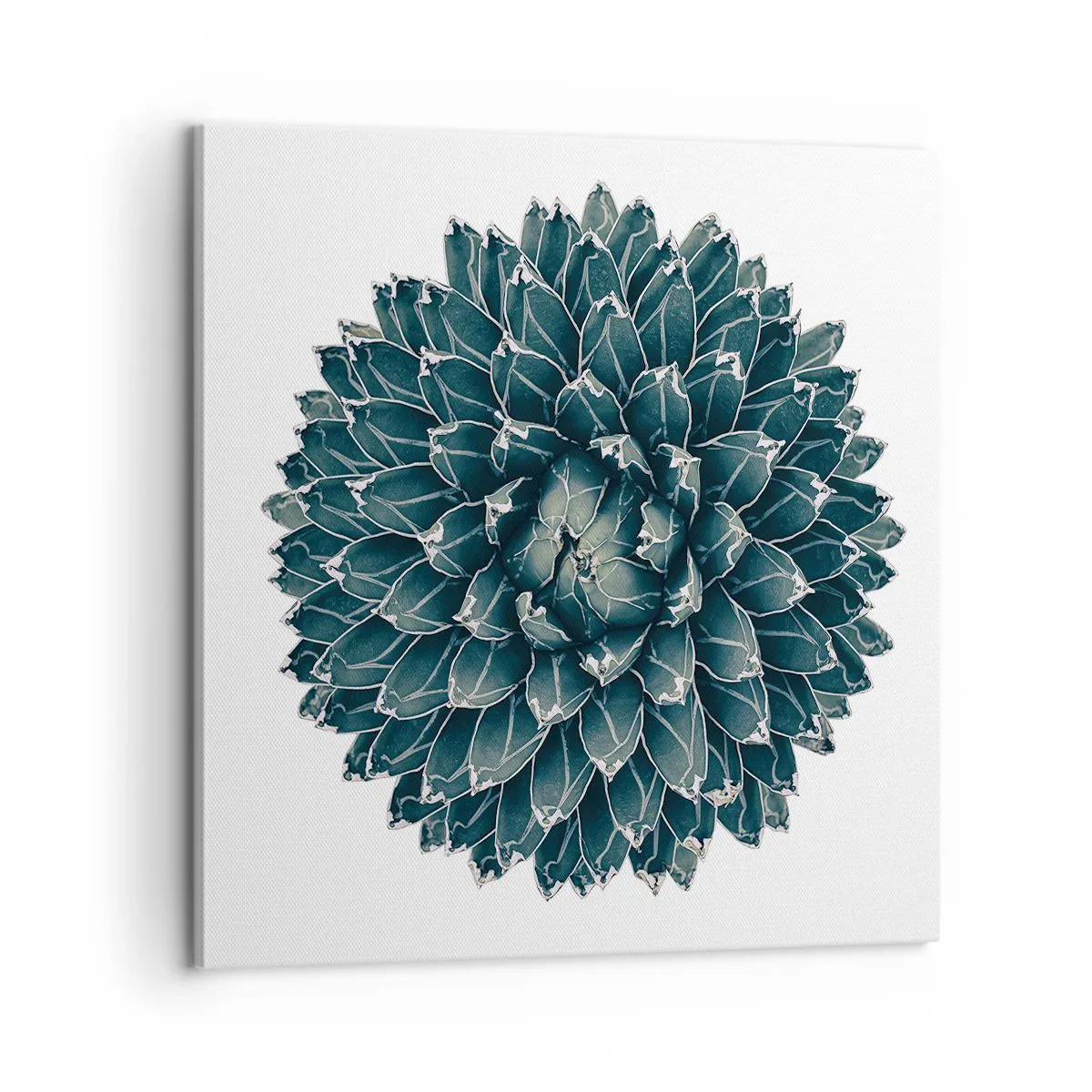 Impression sur toile - Image sur toile - Étoile du désert - 60x60 cm