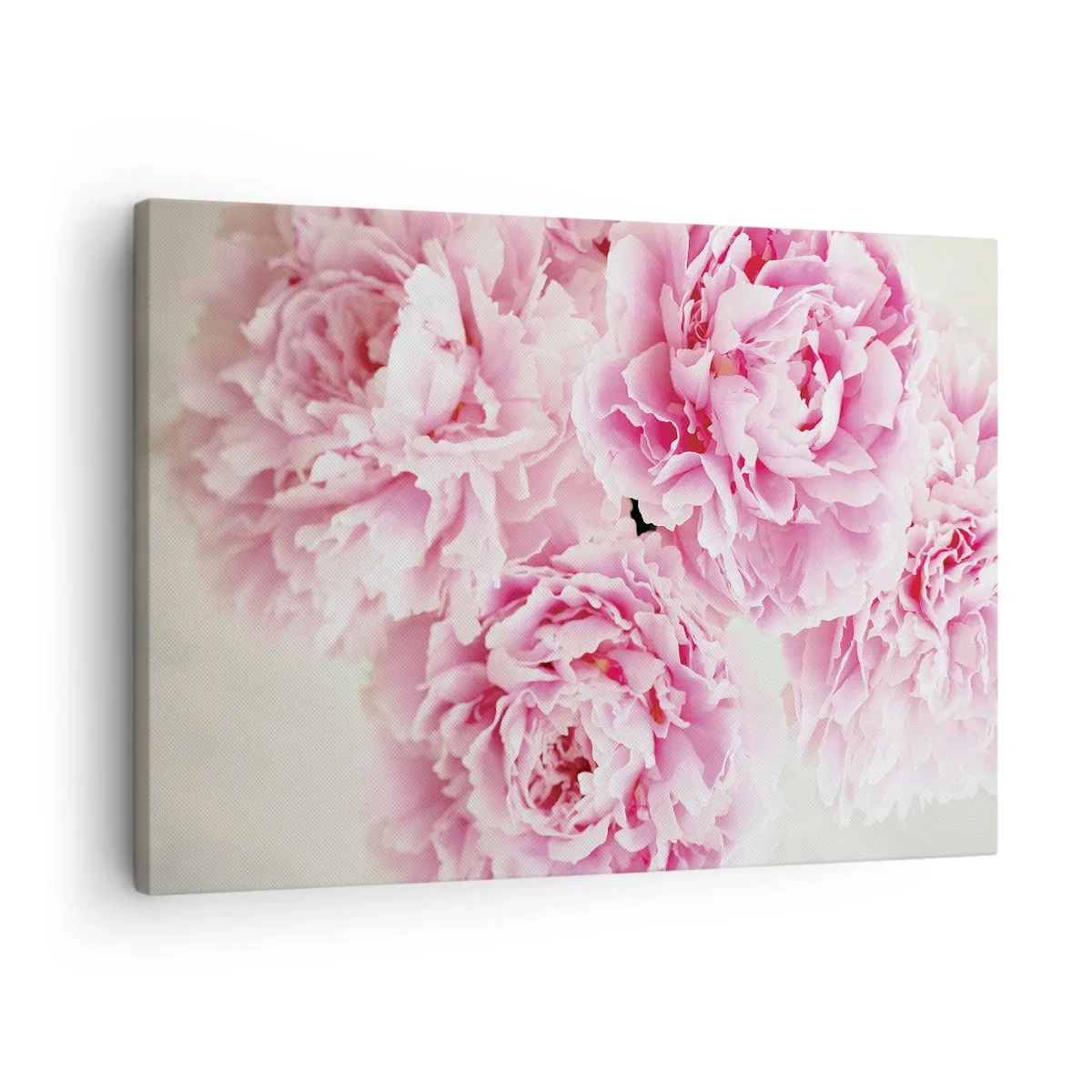 Impression sur toile - Image sur toile - Un bouquet de pivoines roses sur fond clair - 70x50cm - En glamour rose - Décoration murale moderne pour le salon et la chambre ARTTOR