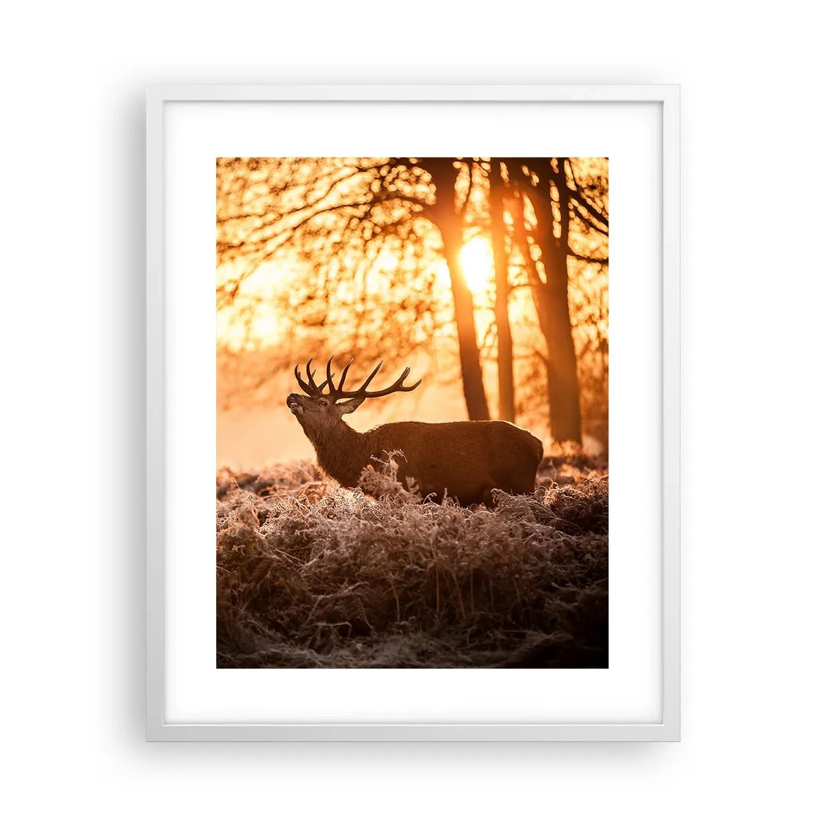 Affiche dans un cadre blanc - Poster - Le rêve d'un chasseur - 40x50 cm