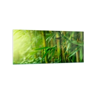 Impression sur verre - Image sur verre - Forêt de bambous verts dans une lumière douce - 120x50cm - Apprenez à connaître le vert lui-même - Décoration murale moderne pour le salon et la chambre ARTTOR