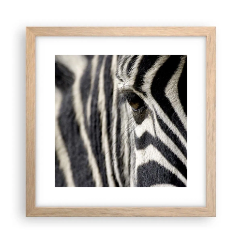 Affiche dans un chêne clair - Poster - Portrait en rayure - 30x30 cm