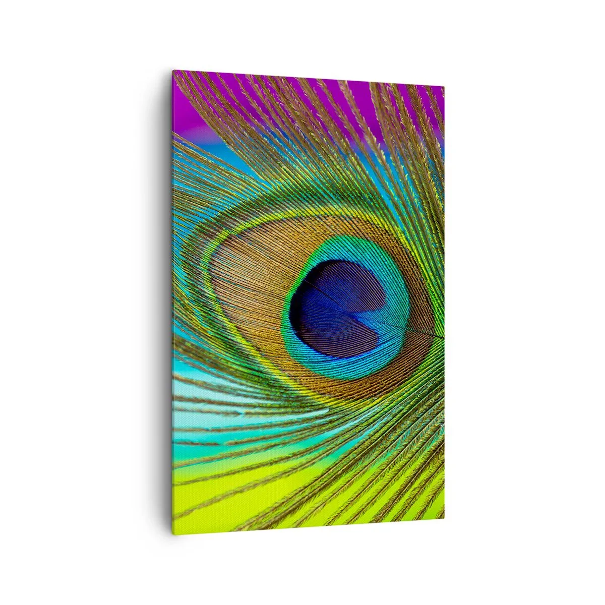 Impression sur toile - Image sur toile - Gros plan d'une plume de paon aux couleurs vives - 80x120cm - Les yeux dans les yeux - Décoration murale moderne pour le salon et la chambre ARTTOR