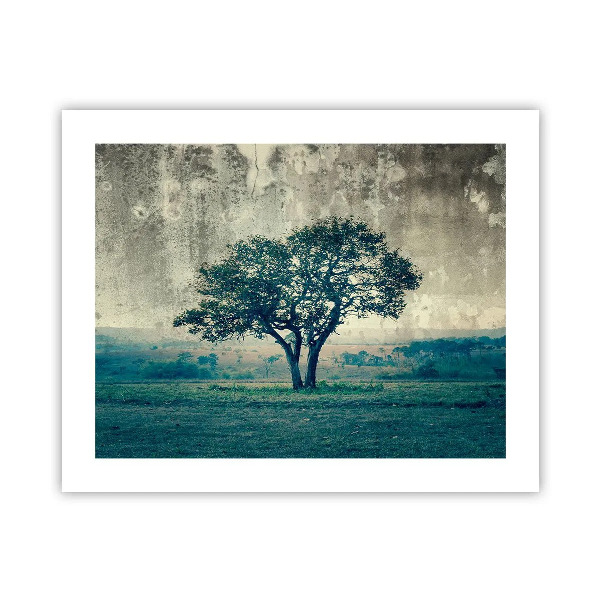 Affiche - Poster - Un pommier sur un champ bleu ? - 50x40 cm