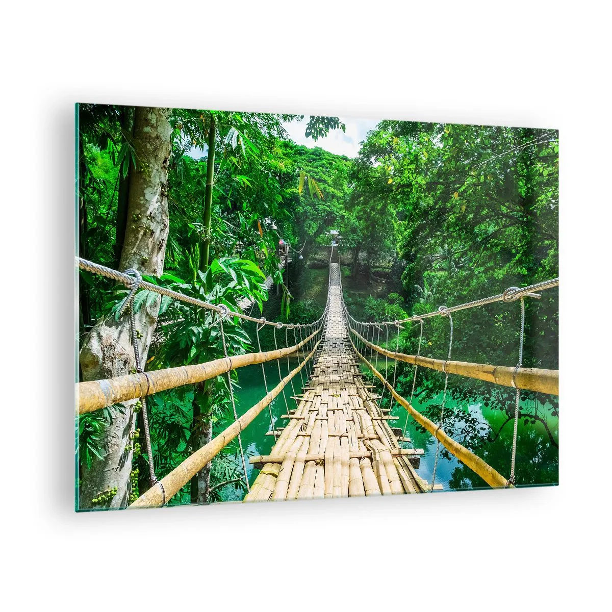 Impression sur verre - Image sur verre - Un pont en bambou suspendu au milieu de la verdure tropicale au-dessus d'une rivière - 70x50cm - Pont de singe en pleine nature - Décoration murale moderne pour le salon et la chambre ARTTOR