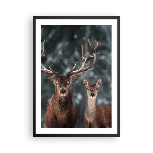 Affiche dans un cadre noir - Poster - Un couple de cerfs sur fond de forêt hivernale - 50x70cm - Le roi de la forêt avec sa femme - Décoration murale moderne pour le salon et la chambre ARTTOR