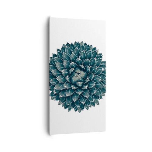 Impression sur toile - Image sur toile - Étoile du désert - 65x120 cm