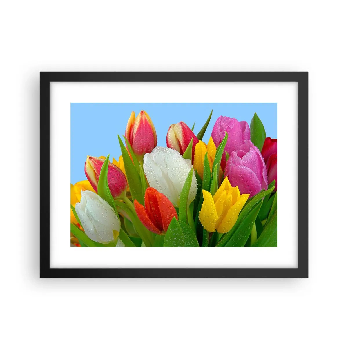 Affiche dans un cadre noir - Poster - Un arc-en-ciel fleuri en gouttes de rosée - 40x30 cm