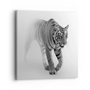 Impression sur toile - Image sur toile - Accroupi dans le brouillard - 40x40 cm