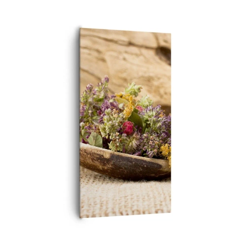 Impression sur toile - Image sur toile - Fleurs colorées et herbes parfumées - 65x120 cm