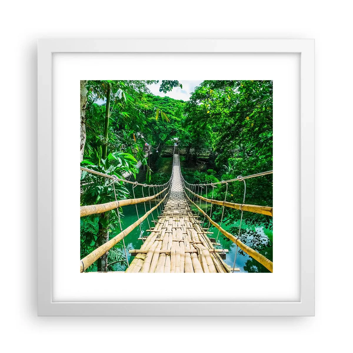 Affiche dans un cadre blanc - Poster - Pont de singe en pleine nature - 30x30 cm