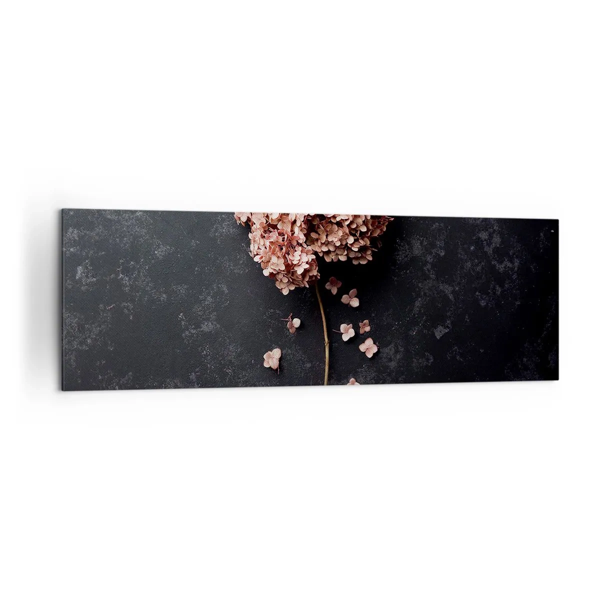Impression sur toile - Image sur toile - Une délicate fleur d'hortensia sur un fond sombre - 160x50cm - Un signe vraiment romantique - Décoration murale moderne pour le salon et la chambre ARTTOR