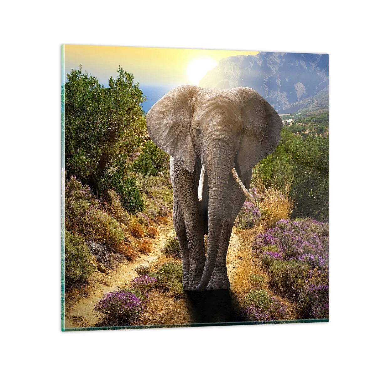 Impression sur verre - Image sur verre - Voilà à quoi ressemblait l'Eden - 30x30 cm