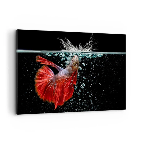 Impression sur toile - Image sur toile - Un magnifique betta dans l'eau sur un fond sombre - 100x70cm - Vous avez trois vœux - Décoration murale moderne pour le salon et la chambre ARTTOR