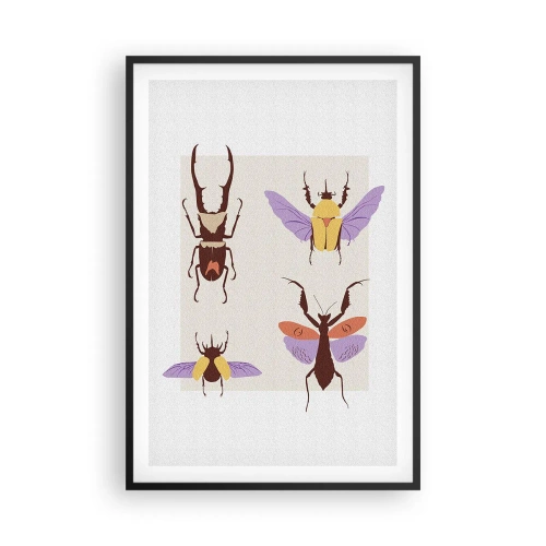 Affiche dans un cadre noir - Poster - Le monde des insectes - 61x91 cm