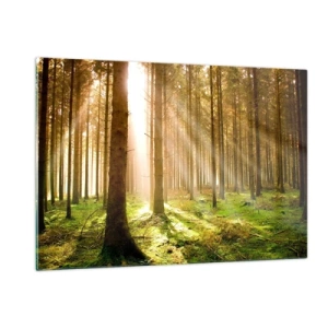Impression sur verre - Image sur verre - Les rayons du soleil pénètrent à travers les arbres de la forêt - 120x80cm - Les elfes vont bientôt apparaître - Décoration murale moderne pour le salon et la chambre ARTTOR