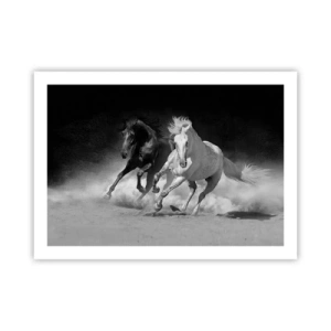 Affiche - Poster - Galop de la liberté - 70x50 cm