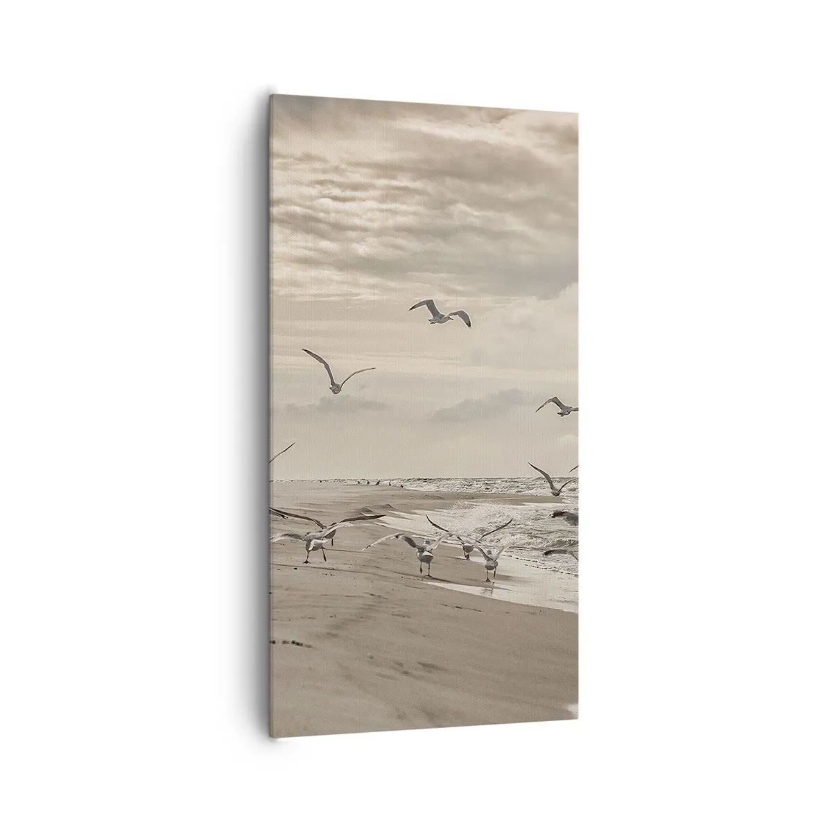 Impression sur toile - Image sur toile - Le bruit de la mer, le chant des oiseaux - 65x120 cm