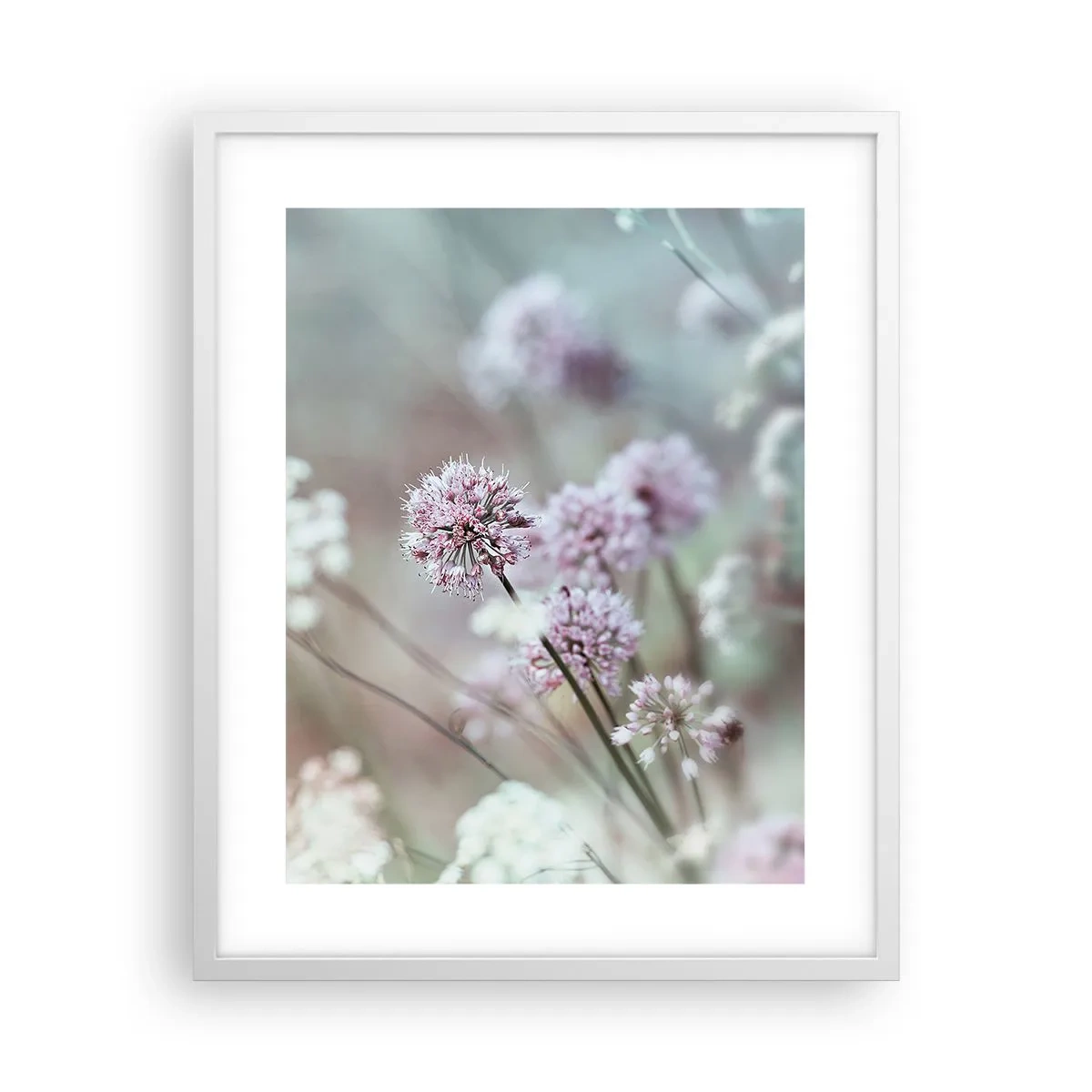 Affiche dans un cadre blanc - Poster - Herbes douces en filigrane - 40x50 cm