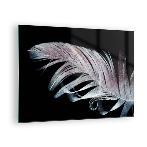 Impression sur verre - Image sur verre - Une plume délicate sur fond noir dans une démarche artistique - 70x50cm - Pensez au toucher - Décoration murale moderne pour le salon et la chambre ARTTOR