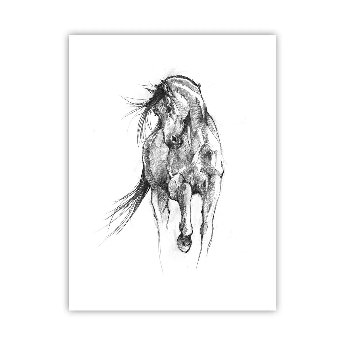 Affiche - Poster - D'un trot gracieux - 30x40 cm