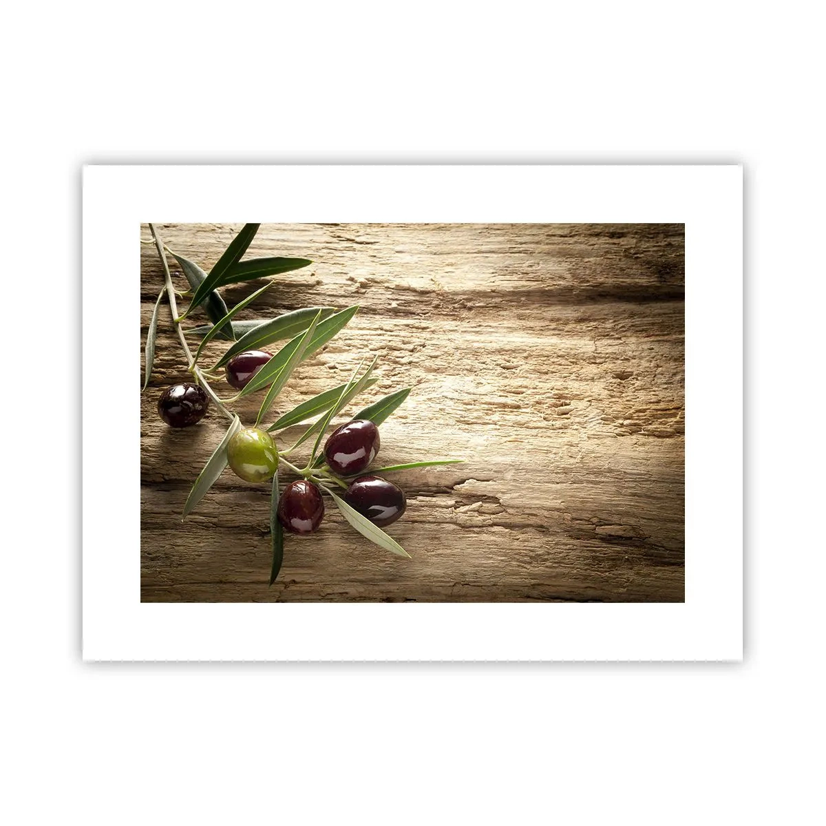 Affiche - Poster - Directement de la nature - 40x30 cm