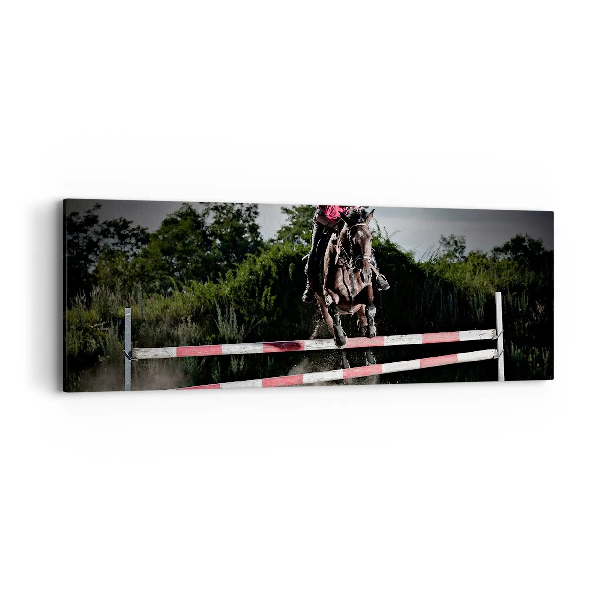 Impression sur toile - Image sur toile - Ensemble pour la victoire - 90x30 cm