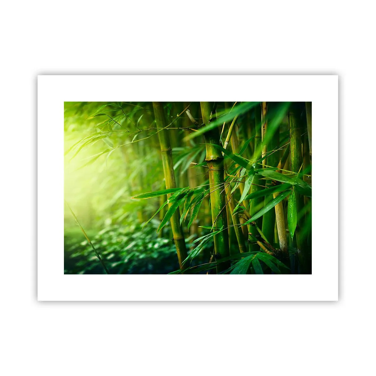 Affiche - Poster - Apprenez à connaître le vert lui-même - 40x30 cm