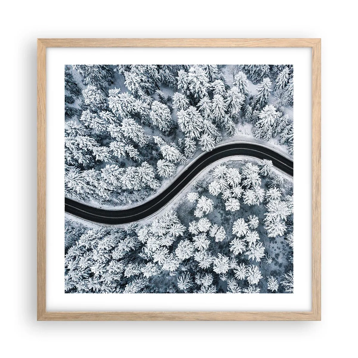 Affiche dans un chêne clair - Poster - À travers une forêt d'hiver - 50x50 cm