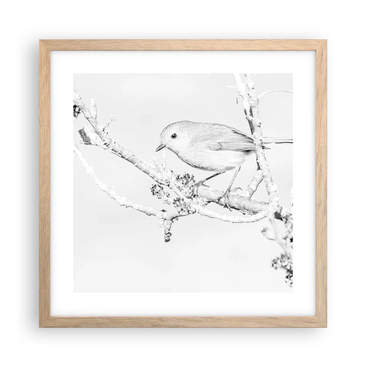 Affiche dans un chêne clair - Poster - Matin d'hiver - 40x40 cm