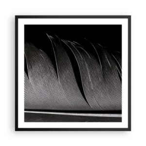 Affiche dans un cadre noir - Poster - La plume – un design magnifique - 60x60 cm