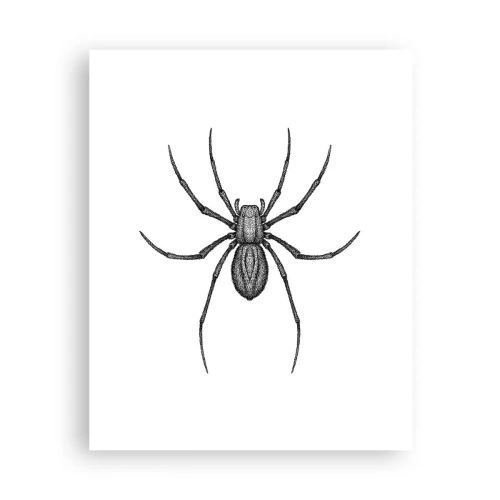 Affiche - Poster - Une précision troublante - 40x50 cm