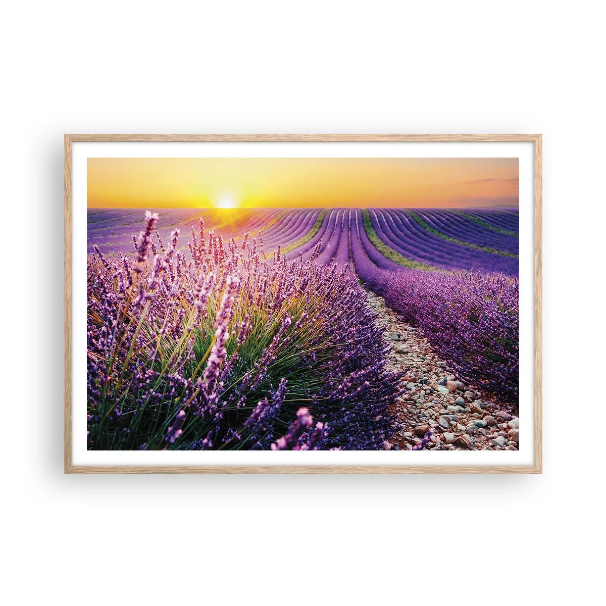 Affiche dans un chêne clair - Poster - Tige parfumée - 100x70 cm