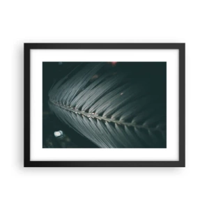 Affiche dans un cadre noir - Poster - Précision de la nature - 40x30 cm