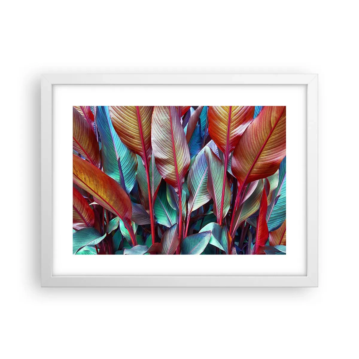 Affiche dans un cadre blanc - Poster - Un fourré coloré - 40x30 cm