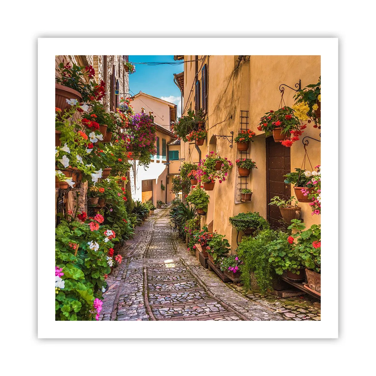 Affiche - Poster - Ruelle italienne - 60x60 cm