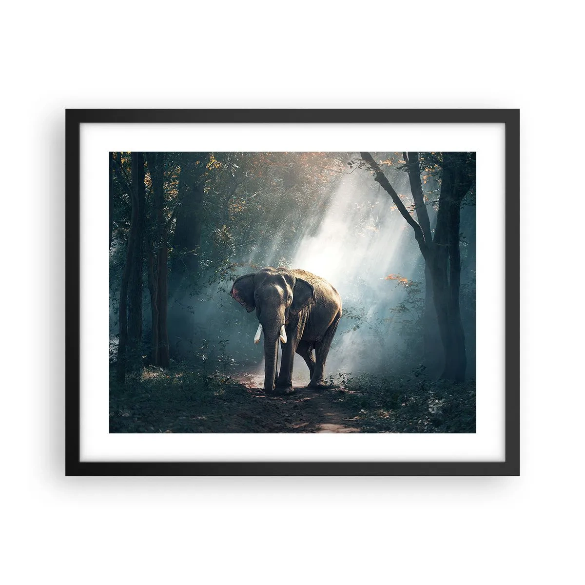 Affiche dans un cadre noir - Poster - Une balade tranquille - 50x40 cm