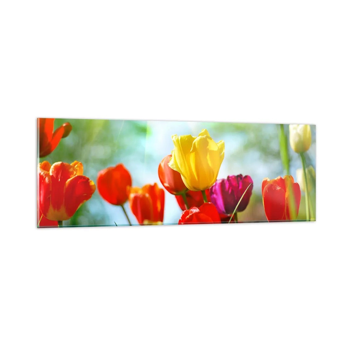 Impression sur verre - Image sur verre - Toutes les couleurs du soleil - 90x30 cm